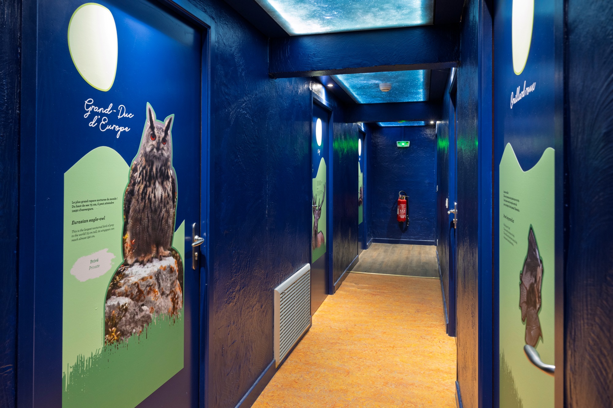 Scénographie sur les animaux de la nuit au refuge de Rosuel